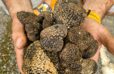 1st Truffle House Žumberak - Foto 14