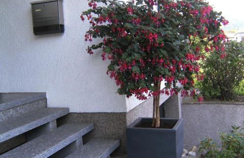 Ferienwohnung Schneider - Foto 17