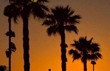 Nautilus Orihuela Costa - Foto 22