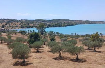 Pale Orb Properties Porto Heli - Foto 2