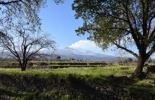 Etna tra le Querce - Foto 10