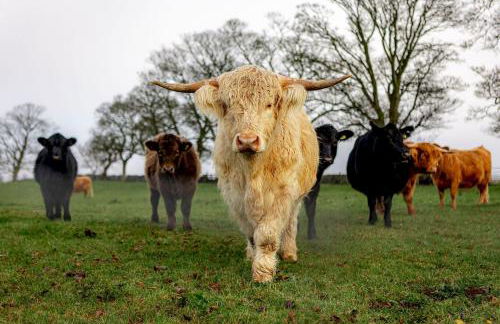 The Lodge House - By Elie - Foto 2