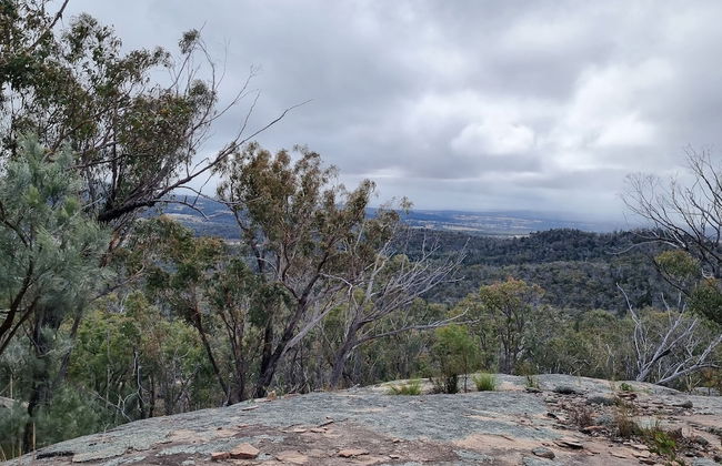 Glen Lough Cabins - Foto 34