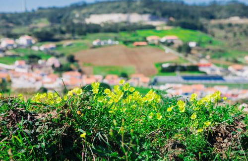 Casa Martins Country Apartment No5 - Foto 29