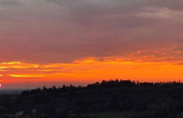 Corina's Place Bologna Home - Photo 40