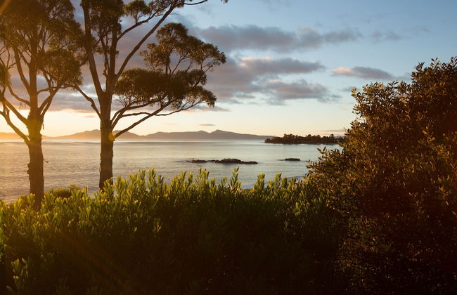 Swansea Beach Chalets - Foto 50