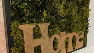 Ferienwohnung MaLi - Photo 5