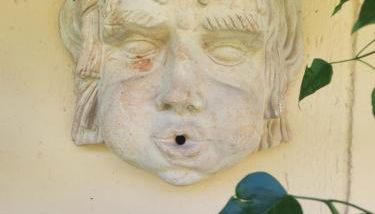 L' Oliva Nera - Foto 3