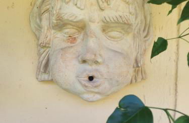 L' Oliva Nera - Foto 3