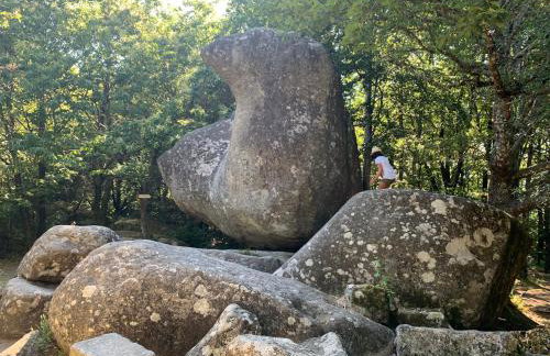 Le repaire du châtaignier, Maison à la campagne, 8 pers, 4 ch, Sidobre - Foto 38