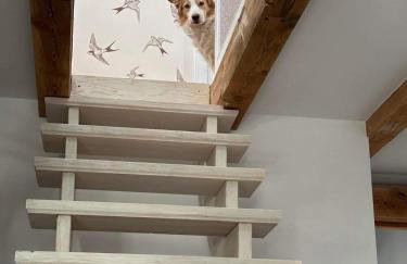 Młyn Sea&Golf w Kołczewie - Foto 64