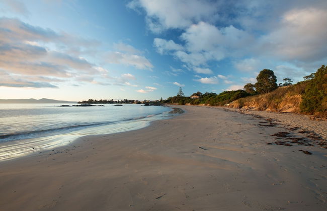 Swansea Beach Chalets - Foto 37