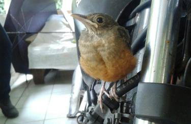 Quitinetes Rusticas Junto a Natureza - Bruxas e Bruxos - Foto 35