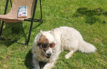 Ferienhaus mit 3 Schlafzimmer in Seenähe - Foto 49