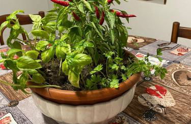 A piedi scalzi sullo Stretto 2 - Foto 21