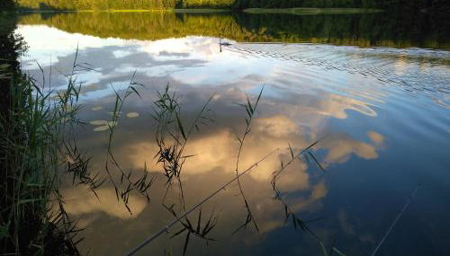 Dom Wakacyjny Kuszewo - Foto 5