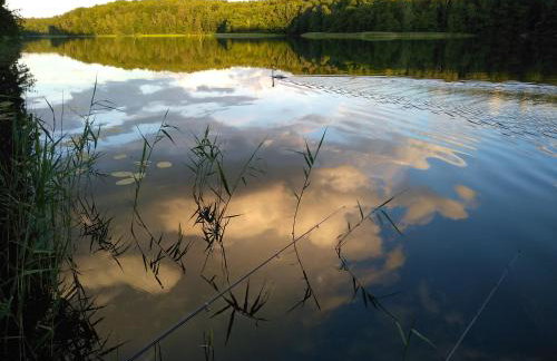 Dom Wakacyjny Kuszewo - Foto 5