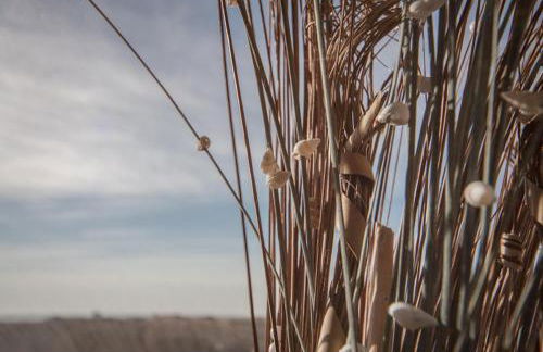 SPO Beach House am Strand Appartement SPO Beach House No 2 - Foto 17