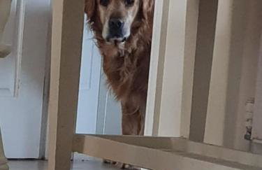 Stratford House - Perfect for a get together - Foto 14