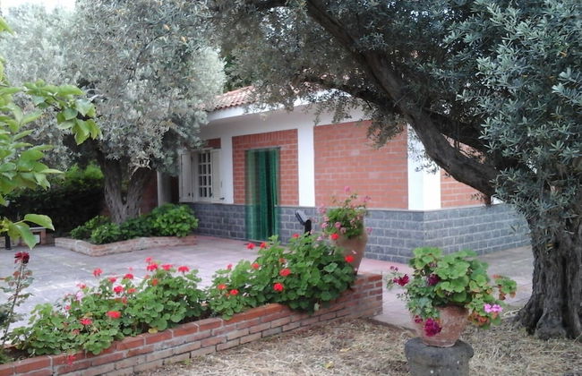 Il Giardino sul Mare - Foto 50