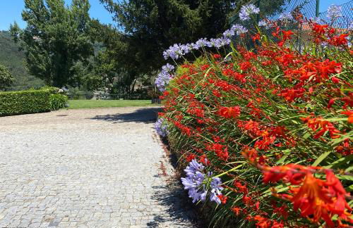 Quinta Da Porta Caseira - Foto 24