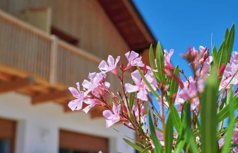 Ferienwohnung zwischen Burghausen und Salzburg - Foto 6