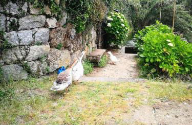 Casa Do Palheiro - Photo 47