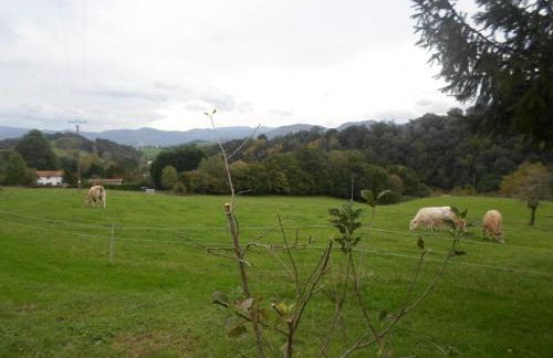 Larzabalea - Foto 14