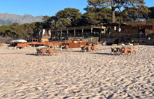 Les galets bleus de Calvi - Foto 49