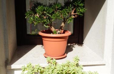 Apartment Andrija - Foto 45