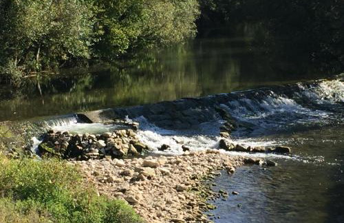 Ferienidyll Aumühle "Muswiese" - Foto 44