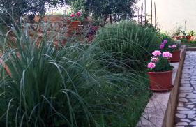 Apartment Roza - Foto 18