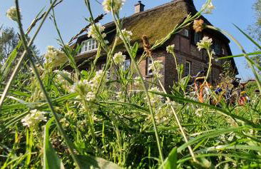 Apartment Kliemkiker, Nähe Binz in traumhafter Alleinlage - Foto 39