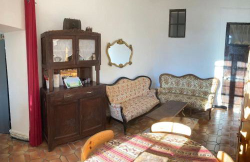 Chez Sigmund et Skywalker - Photo 6