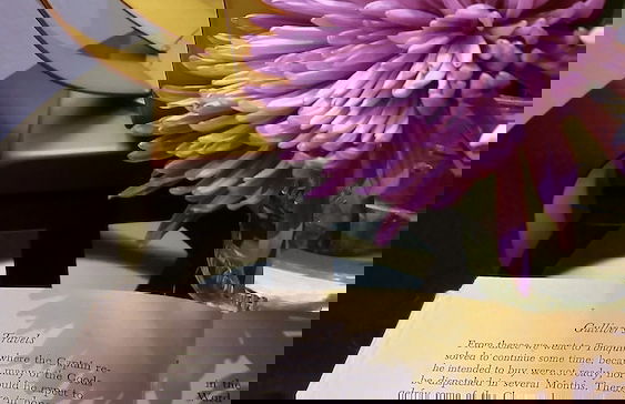 La Isabela Suites - Photo 31