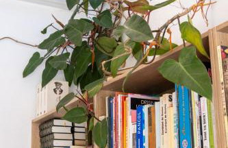 Minor Swing - appartment - CASA MONICA CARGESE - - Foto 14