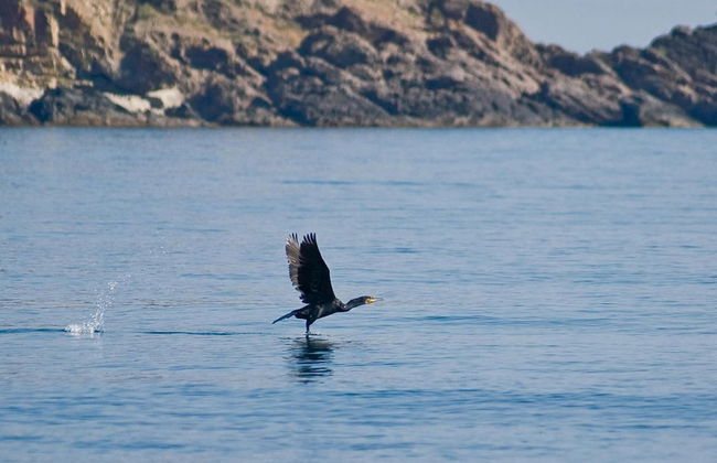 South Pearl Apart Complex - Foto 31