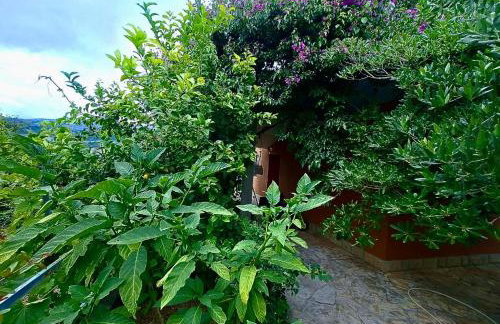 Floral Retreat - Foto 3