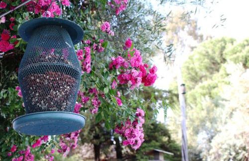 Tapada da Rabela - Reserva Natural - Foto 41