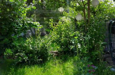 Gästewohnung am Thümmlitzwald - Foto 23