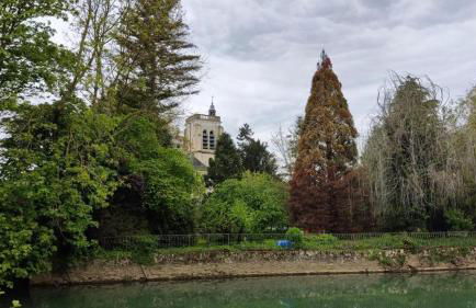 Appartements Studio et Japan Room - Proche Disneyland Paris - Foto 42