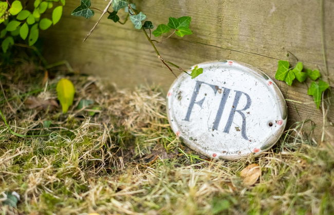 Fir Cottage - Foto 7