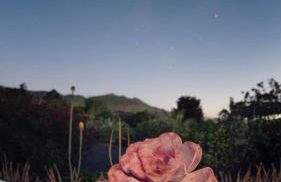 Casita La Rosa - Foto 13