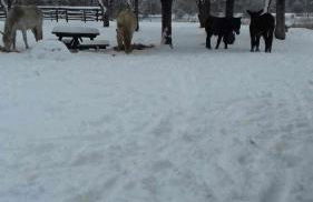 Casas Rurales San Justo - Foto 10