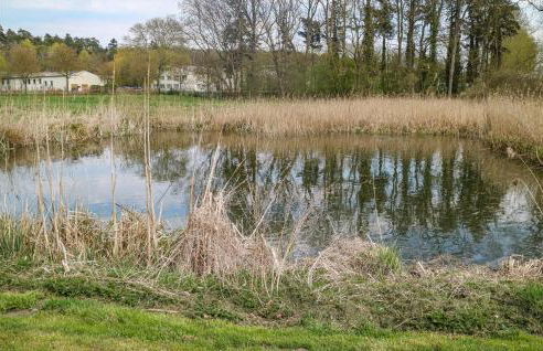 Cozy Apartment In Krakow Am See - Foto 13