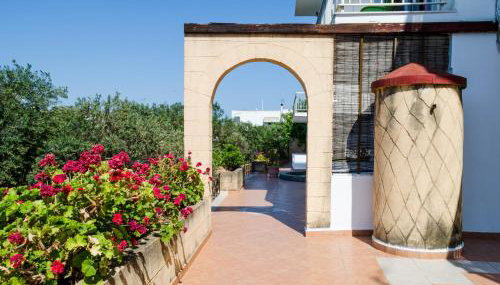Yialos Studios - Foto 4, Garden