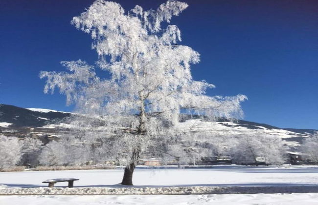 Chalet in Mittersill Near Ski Slopes - Foto 43