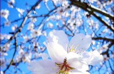 Canyamel modern apartment pool & 360º roof-terrace in 3rd floor letter A - Foto 63