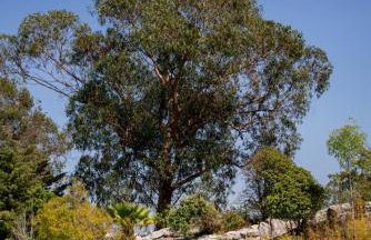 Prana Nature, Setúbal Oasis with Pool - Foto 19