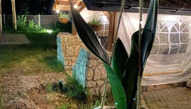 Kajaki wino i śpiew - domek z sauną w otoczeniu lasów i sąsiedztwie zalewu - Foto 4, Garden, Garden view, pet friendly